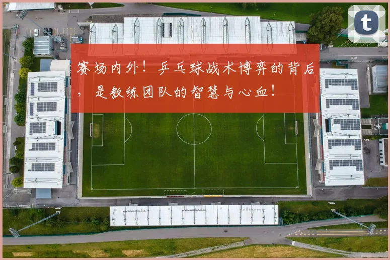 赛场内外!乒乓球战术博弈的背后,是教练团队的智慧与心血!